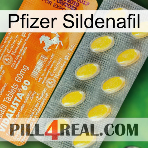 Pfizer Sildenafil new05.jpg